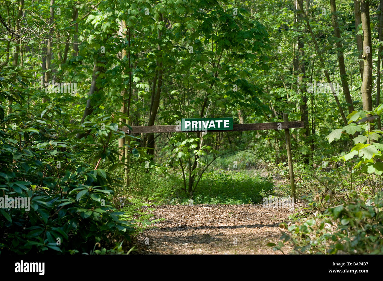private sign on woodland track, norfolk, england Stock Photo