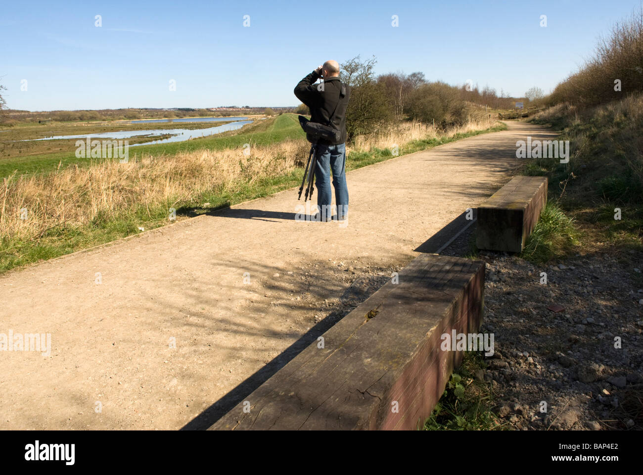 A birdwatcher on the Trans Pennine Trail South Yorkshire England Stock Photo