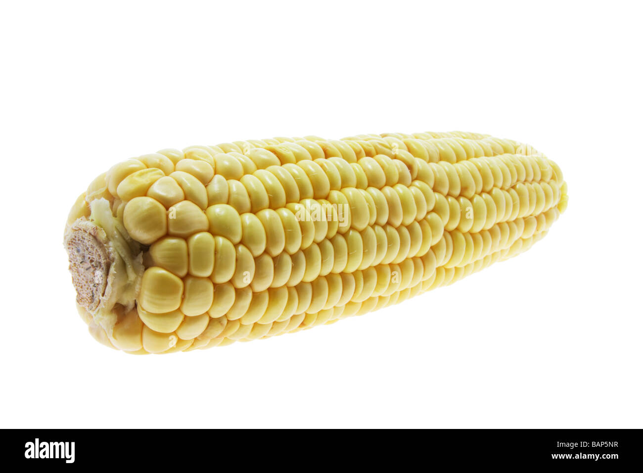 Sweet Corn Cob Stock Photo Alamy