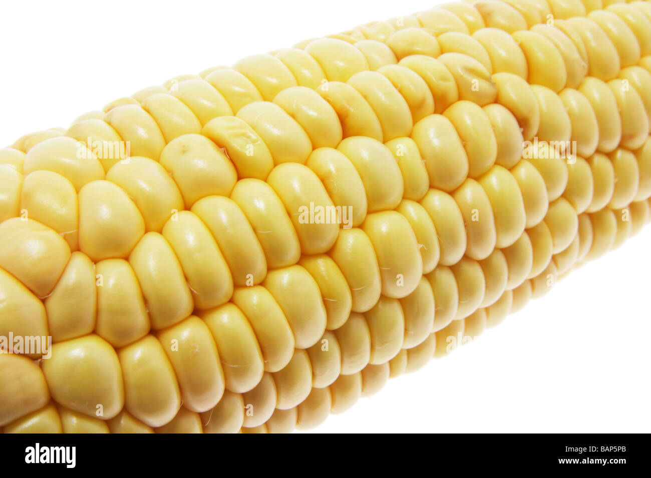Sweet Corn Cob Stock Photo