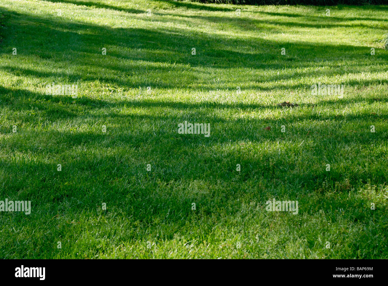 Grass slope hires stock photography and images Alamy