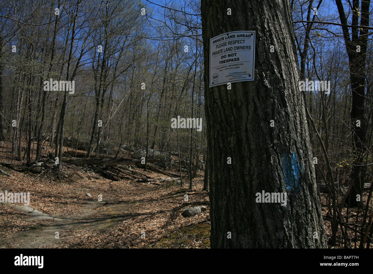 Putnam state forest hires stock photography and images Alamy