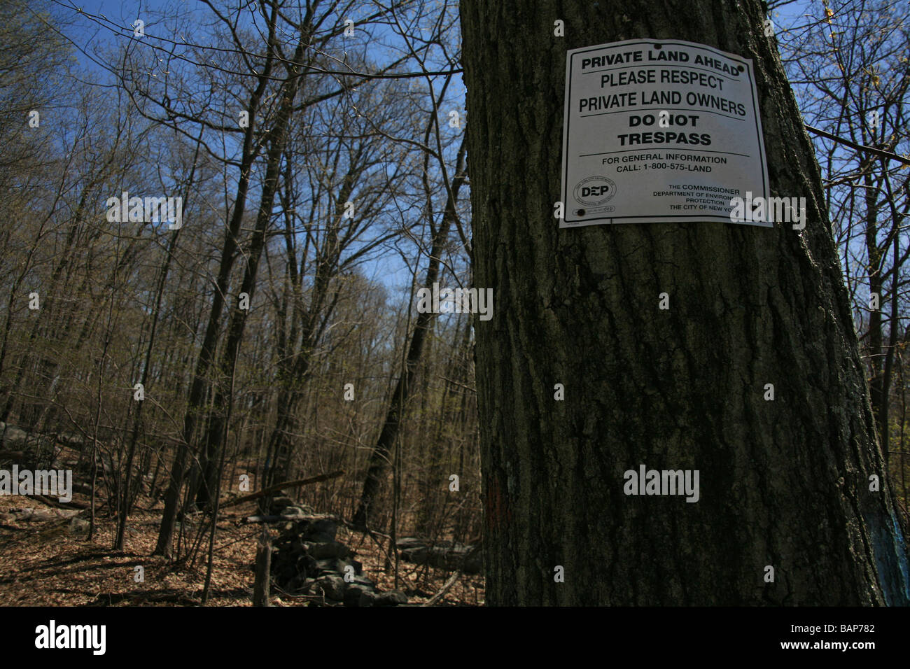 Putnam state forest hires stock photography and images Alamy