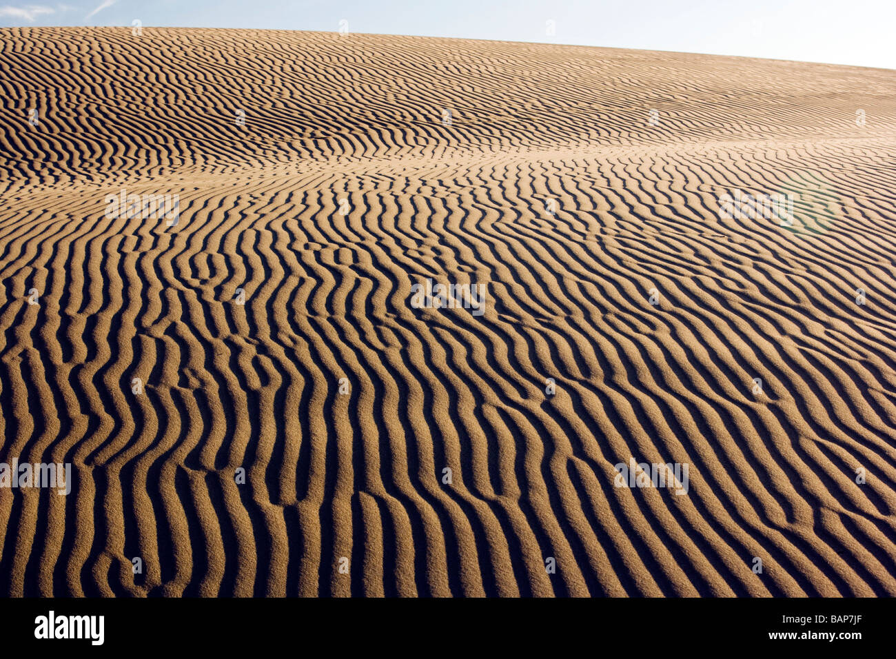 Sand Dunes Oregon Dunes National Recreation Area Reedsport, Oregon
