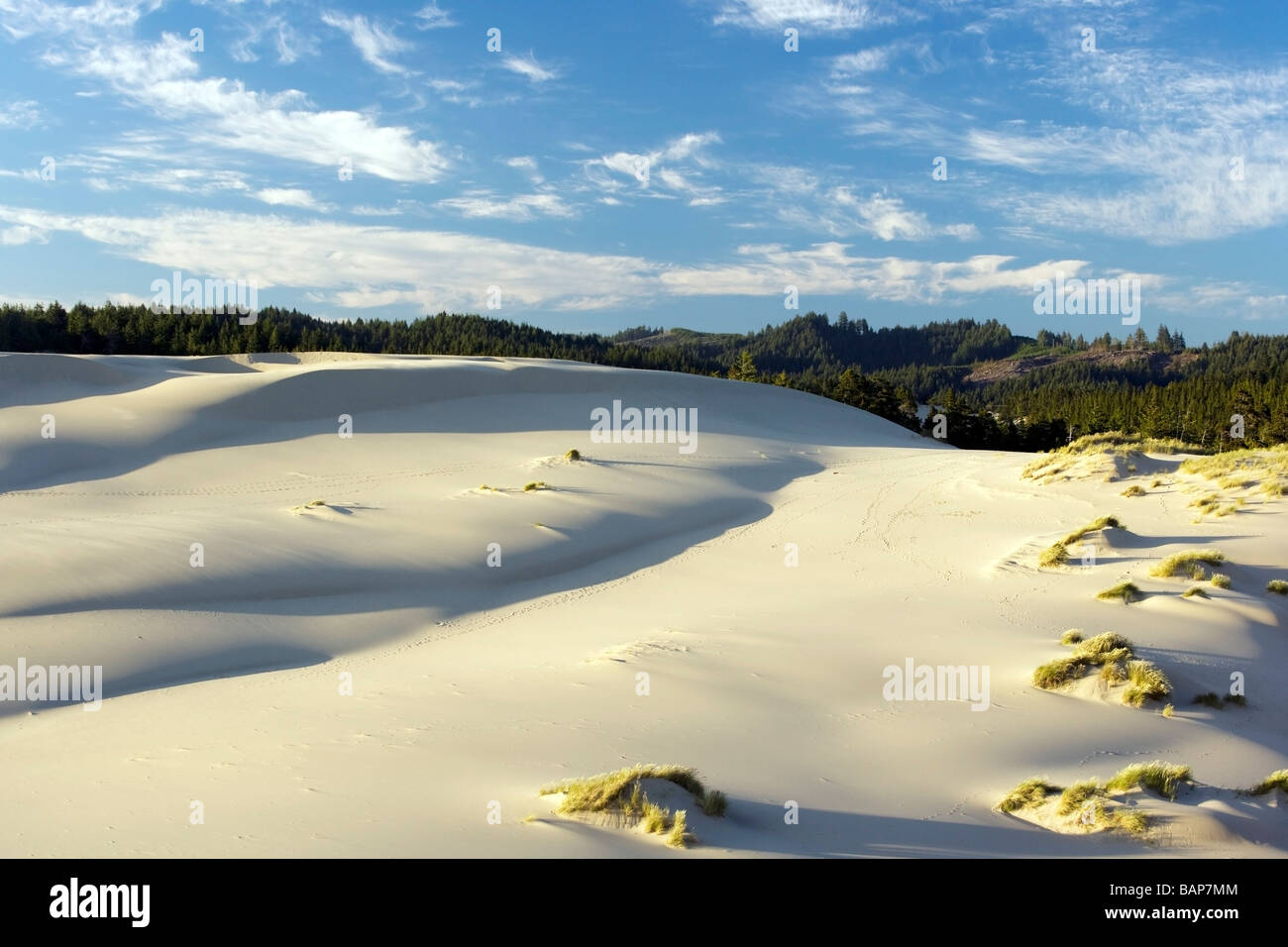 Sand Dunes Oregon Dunes National Recreation Area Reedsport, Oregon
