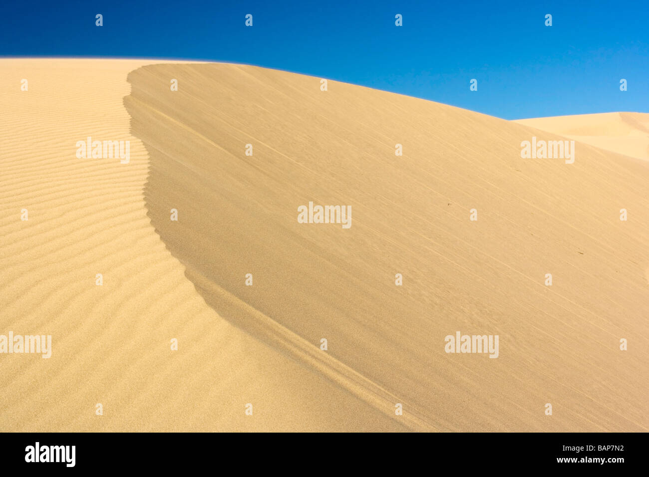 Sand Dunes Oregon Dunes National Recreation Area Reedsport, Oregon