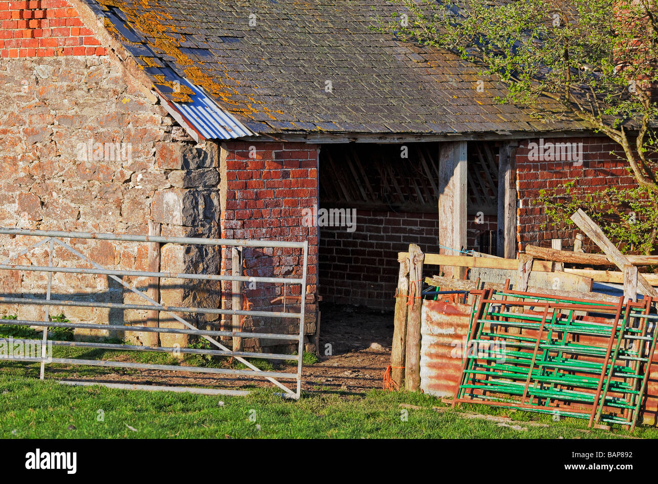 Old sheep barn & gates Stock Photo