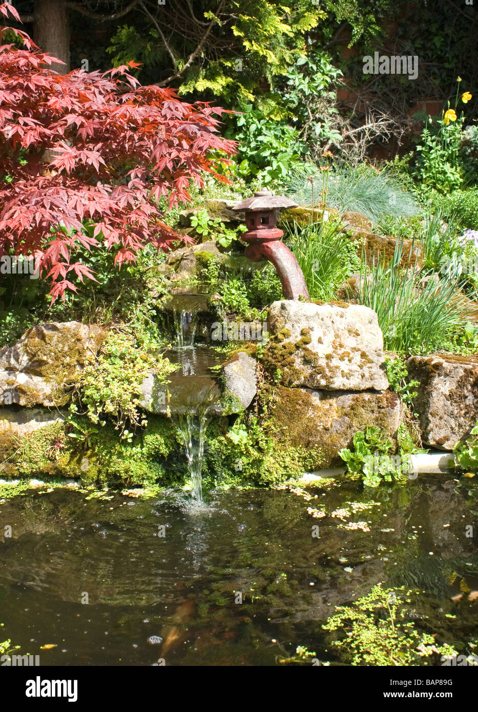 Garden rockery with pond hi-res stock photography and images - Alamy