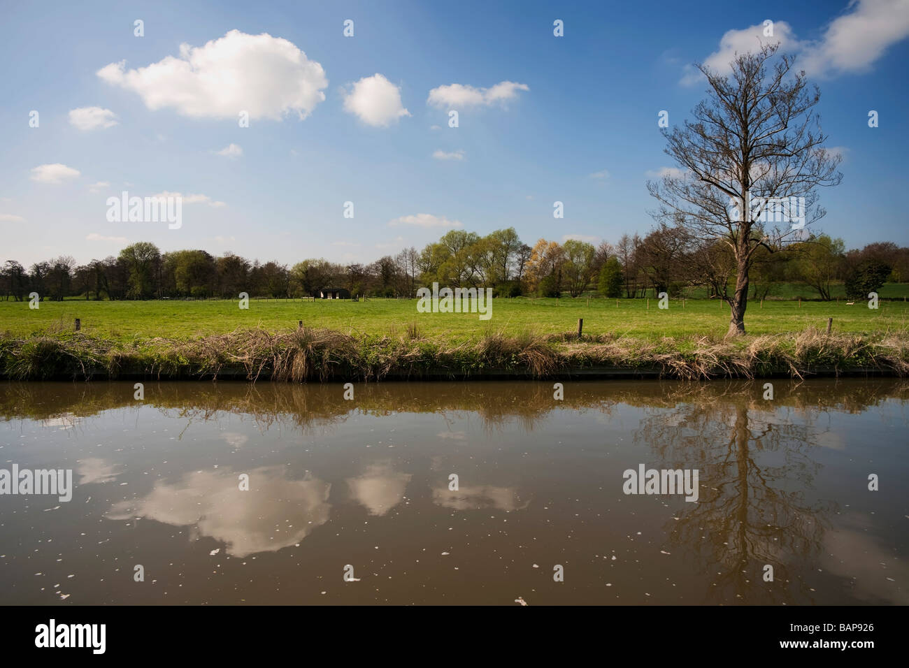 The banks of a river with trees Stock Photo - Alamy