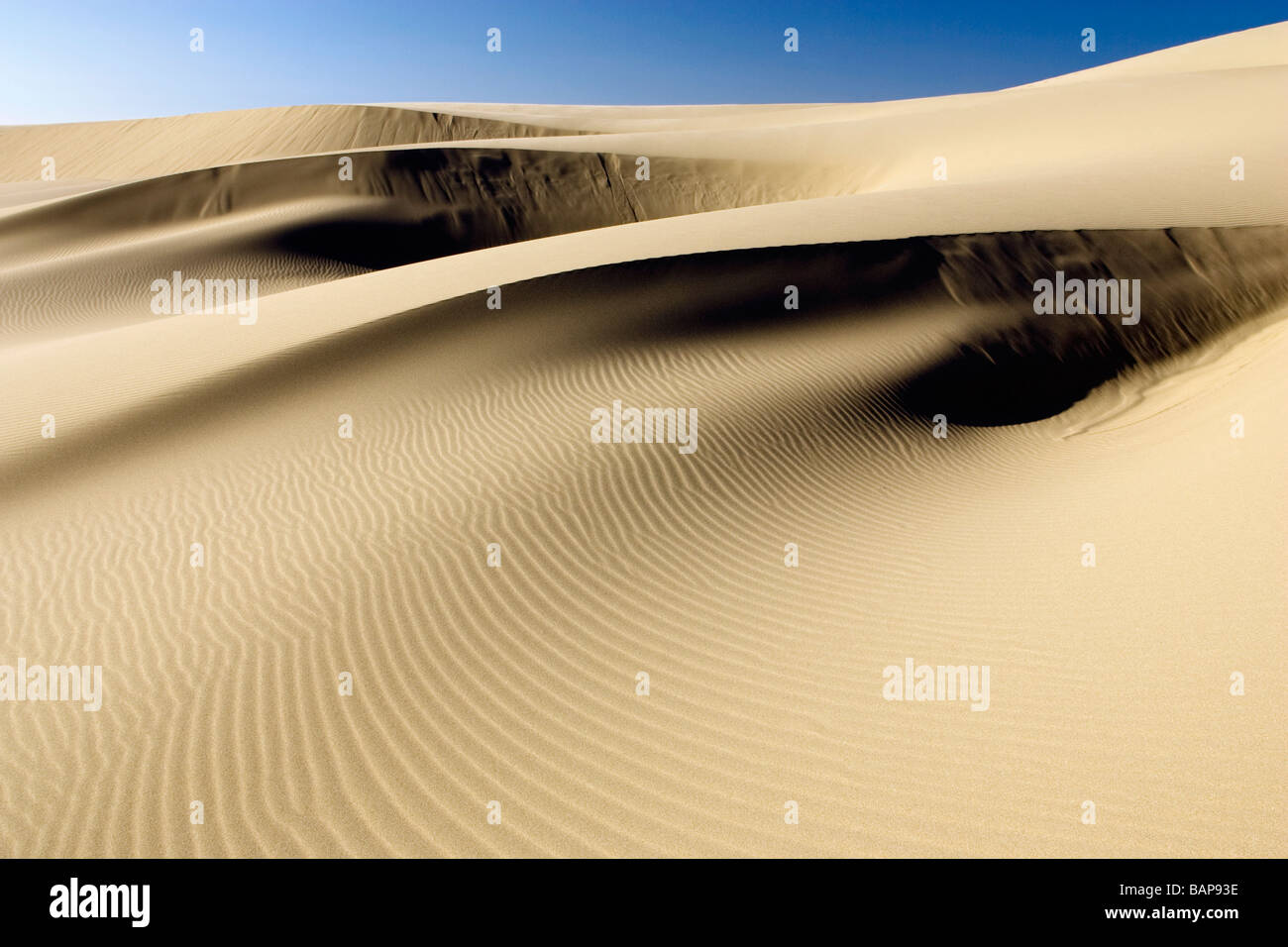 Sand Dunes Oregon Dunes National Recreation Area Reedsport, Oregon