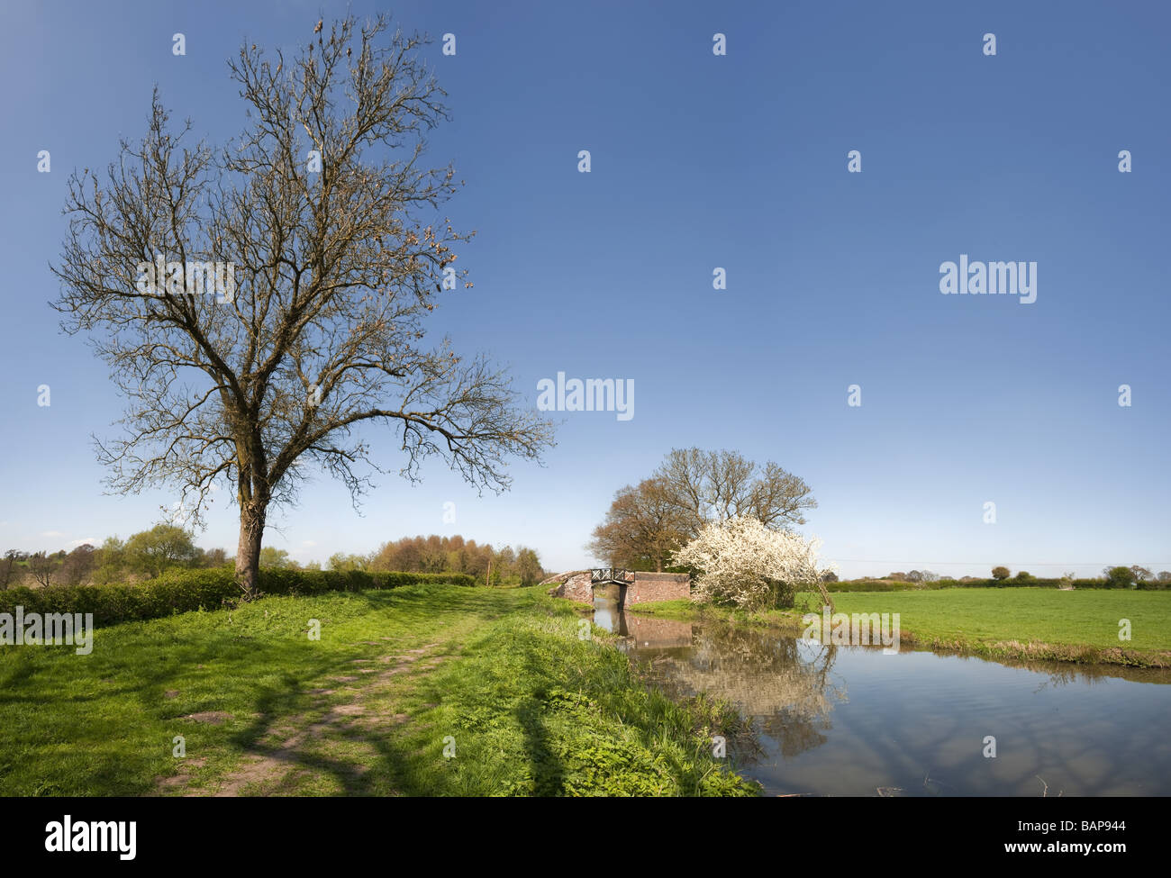 The banks of a river with bushes and trees Stock Photo - Alamy