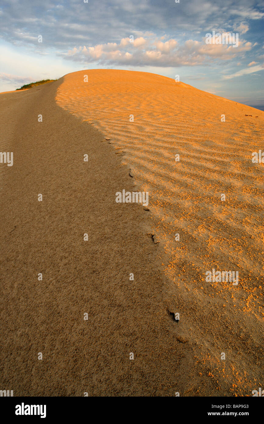 Great Sandhills Saskatchewan Canada High Resolution Stock Photography ...