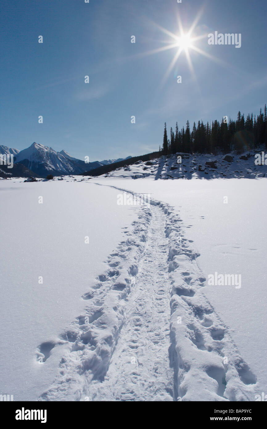 Snowshoe footprints hires stock photography and images Alamy
