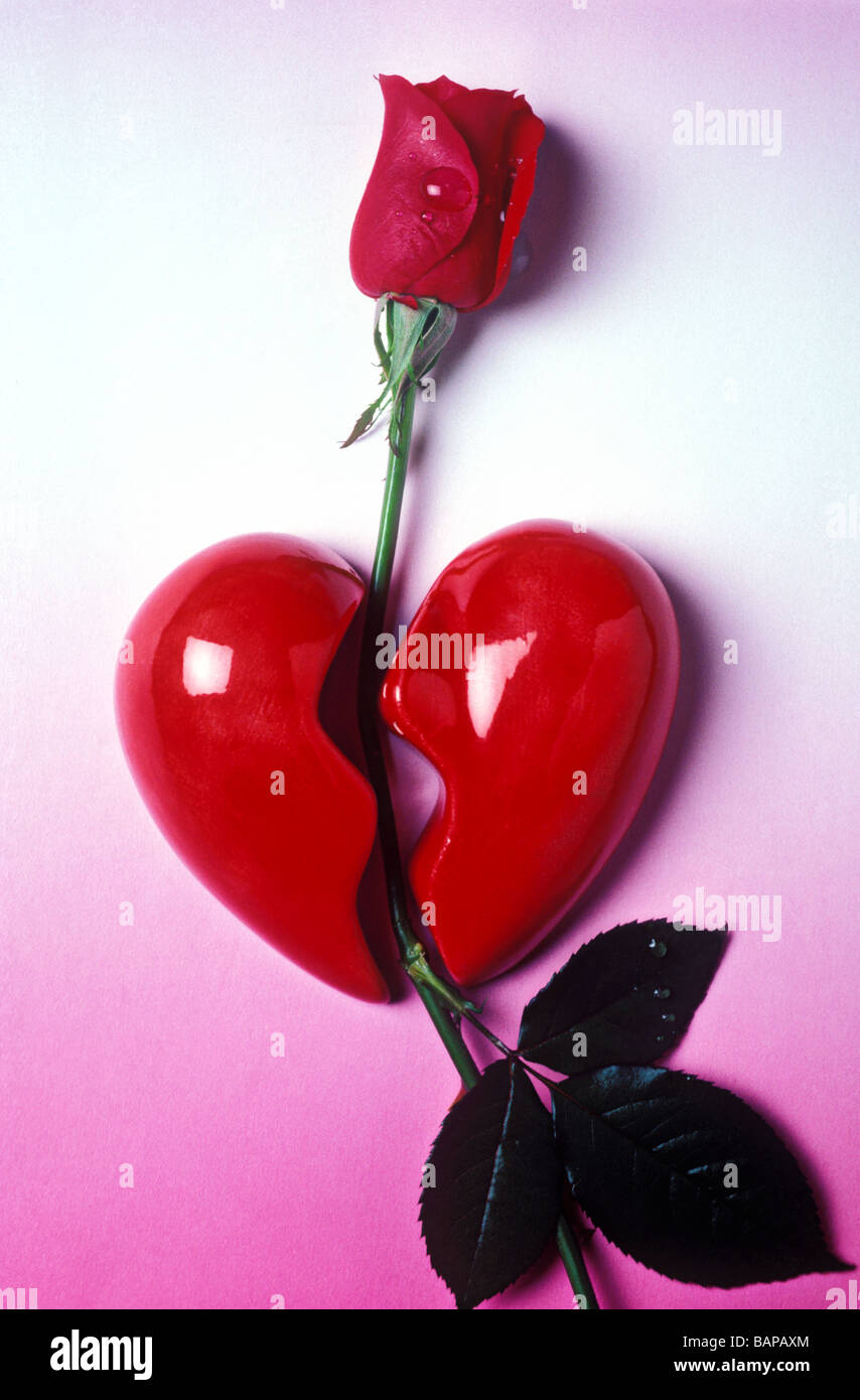 Red rose through broken heart Stock Photo
