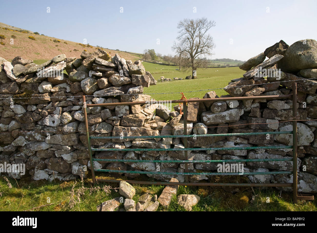 An old metal gate used to repair a break in a drystone wall, Cumbria