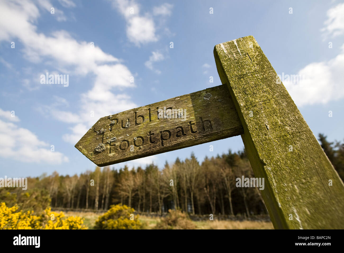 Wooden public footpath sign with forest and moorland in background and blue sky with light clouds Stock Photo