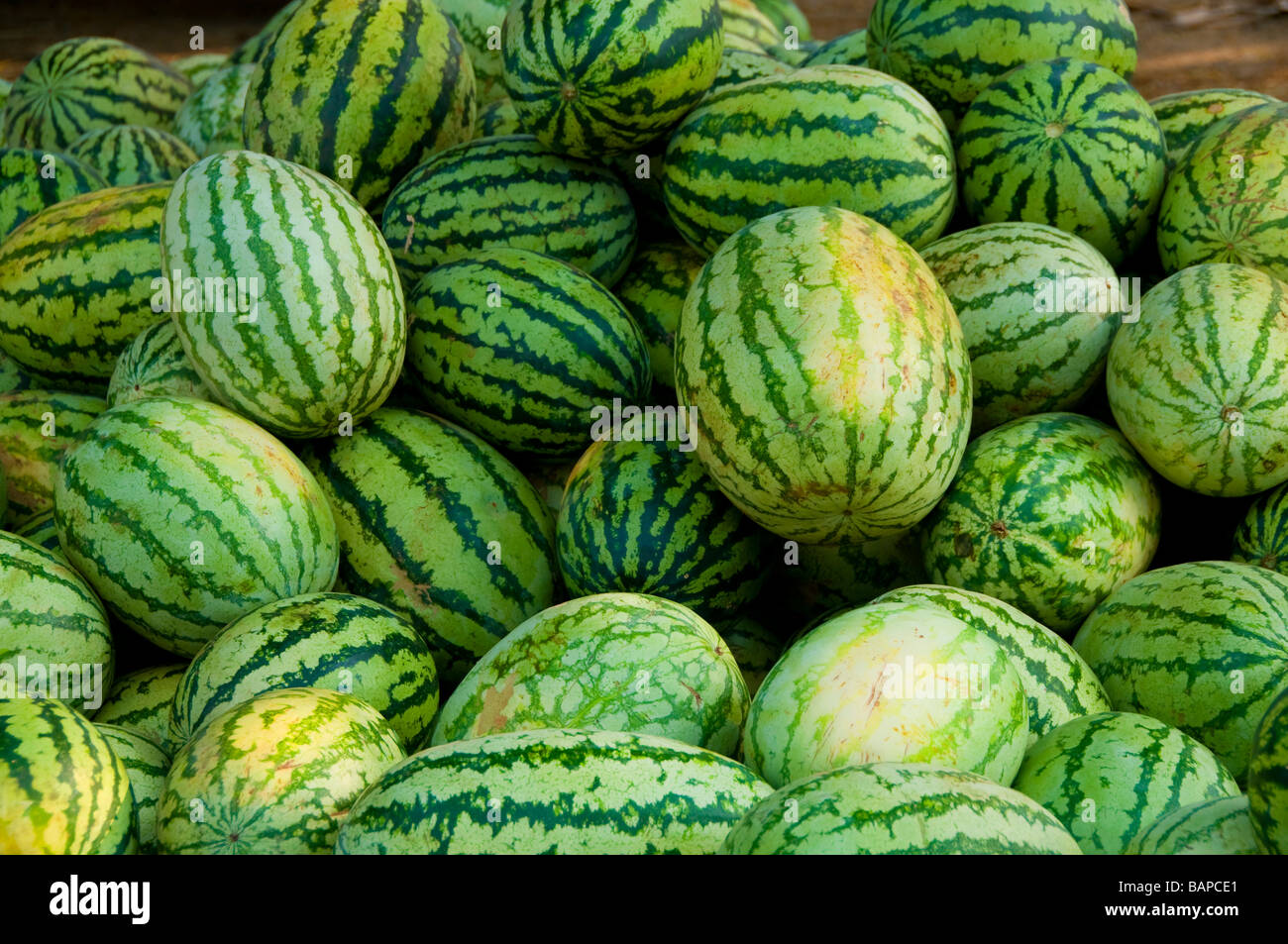 Large group of water melons (Citrullus lanatus) on roadside fruit stall at Fort Cochin, Fort Kochi, Kerala, Southern India Stock Photo