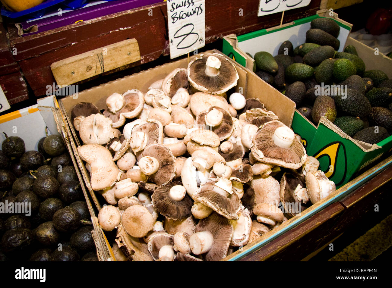 Box of mushrooms at market Stock Photo