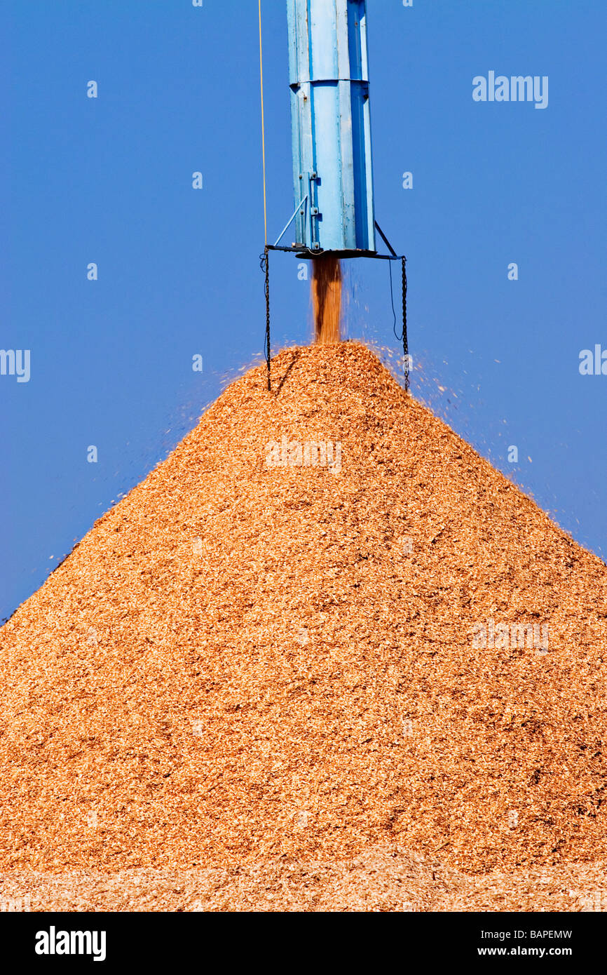 Timber Industry / A pile of raw bulk woodchip.Geelong Victoria