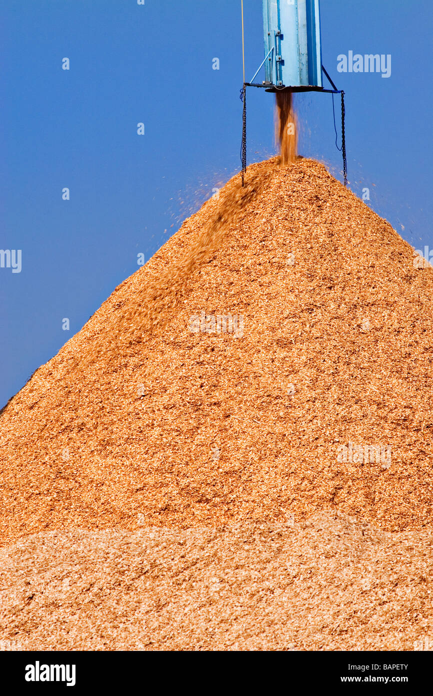 Woodchip pile hires stock photography and images Alamy