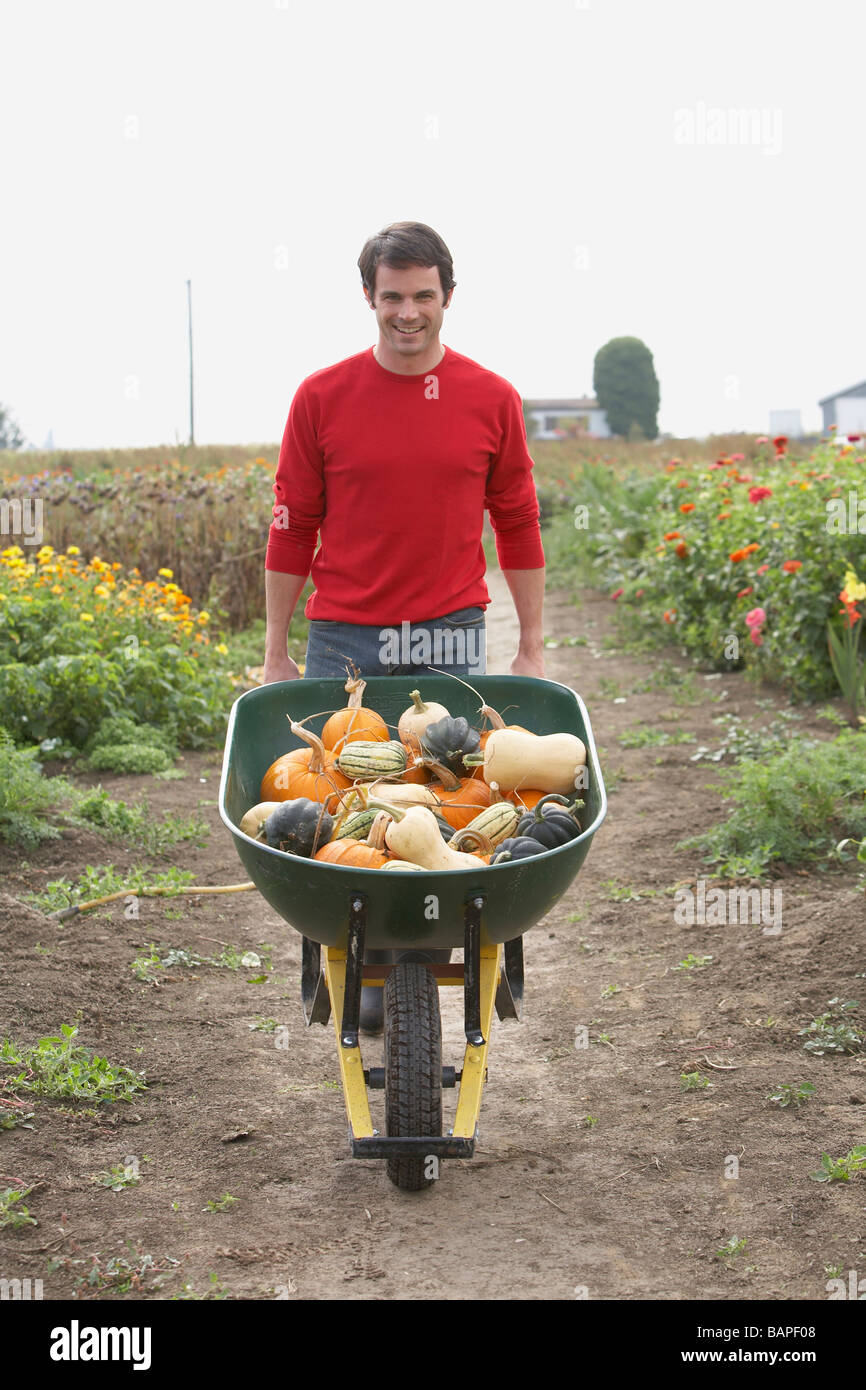 Man with wheelbarrow of organic vegetables, Ladner, British Columbia, Canada Stock Photo