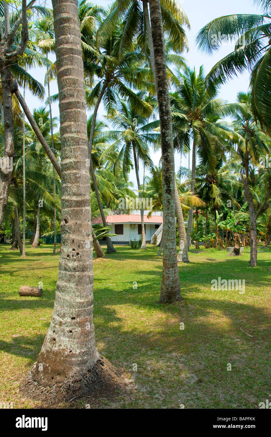 Rural family run homestay in exotic countryside near Cochin also known as Kochi,  Kerala, India Stock Photo