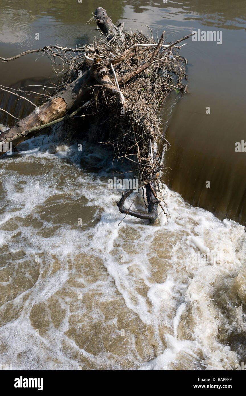 River with tree trapped on wier following a flood Stock Photo