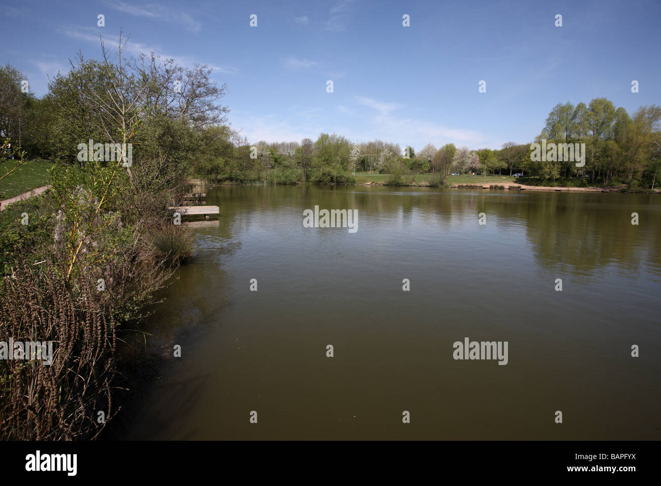 Arrow Valley Lake Redditch Worcestershire spring Stock Photo