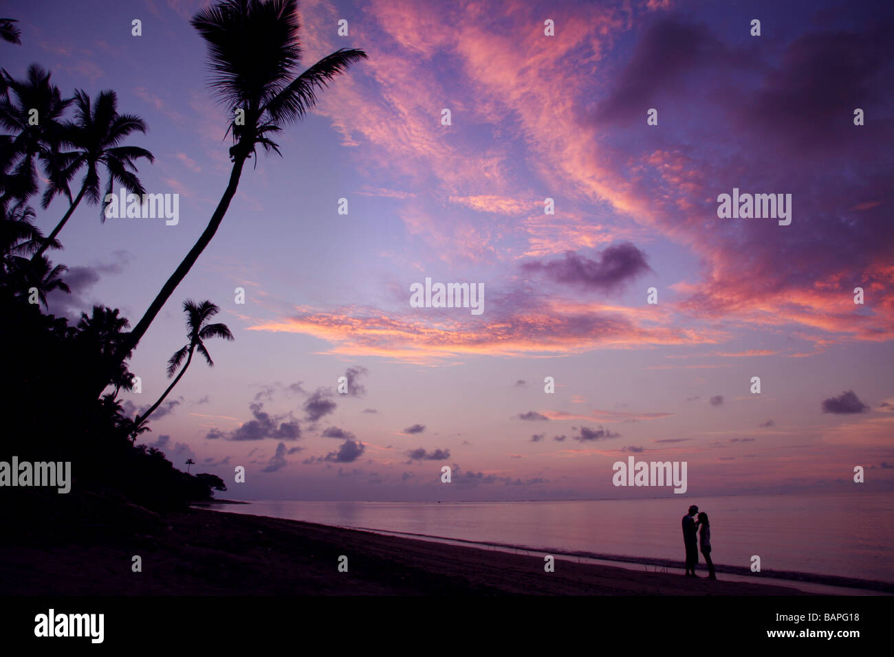 Purple sunset with palm trees Stock Photo - Alamy