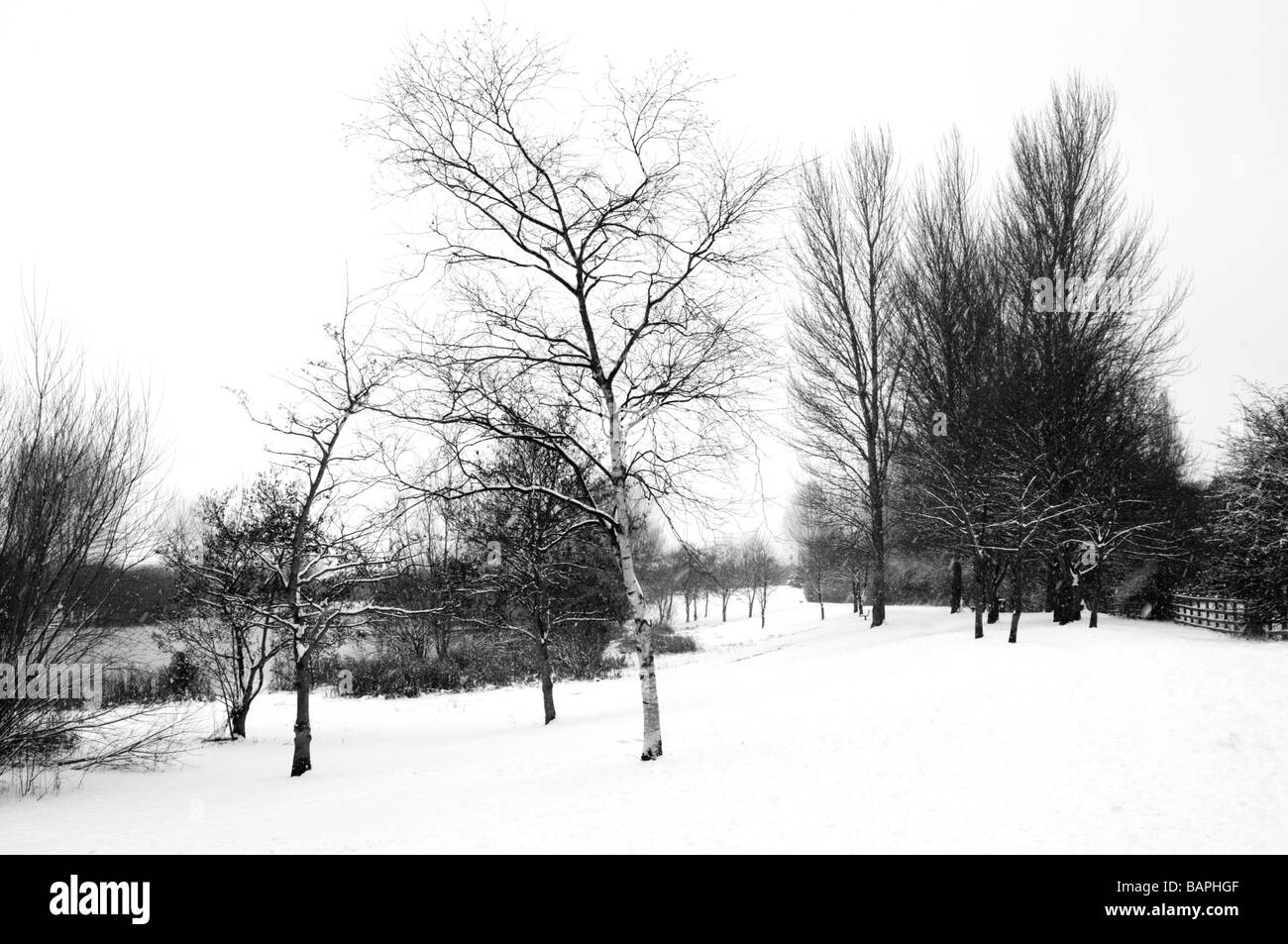 Black & White Winter Snow Scene Stock Photo - Alamy