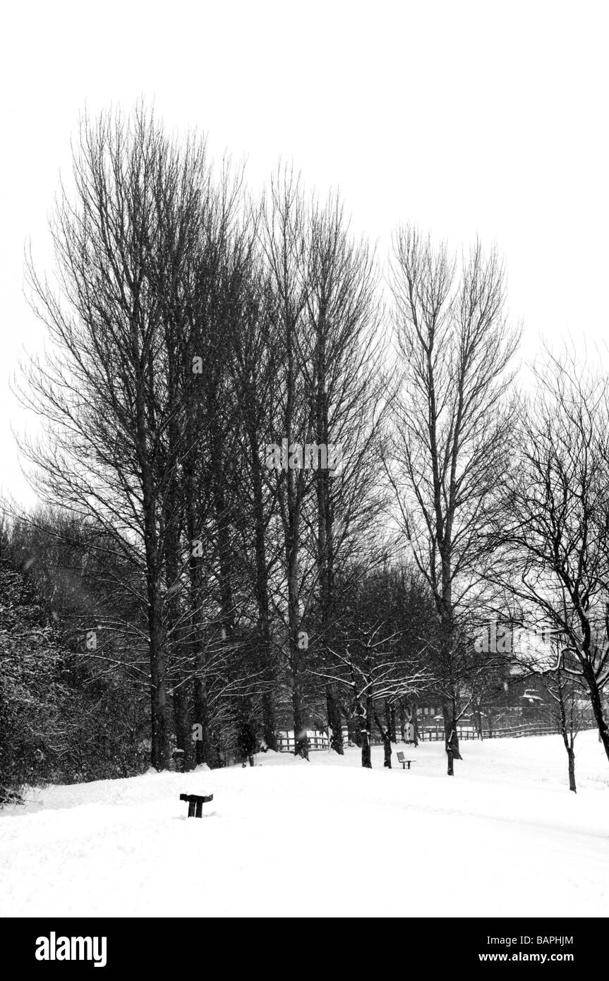 Black & White Winter Snow Scene Stock Photo - Alamy