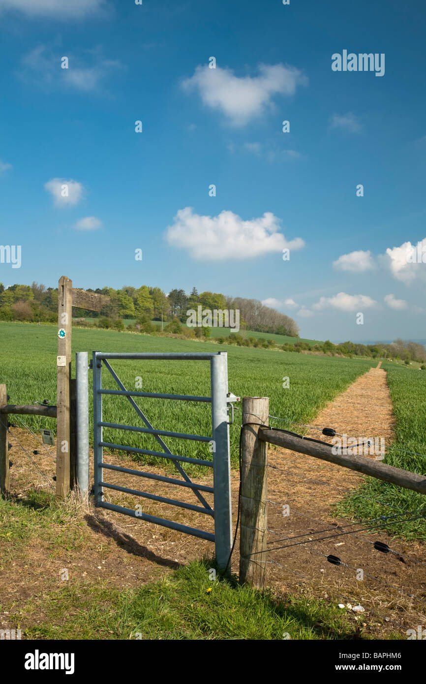 Footpath signposts on the Wayfarers Way between the County high points ...