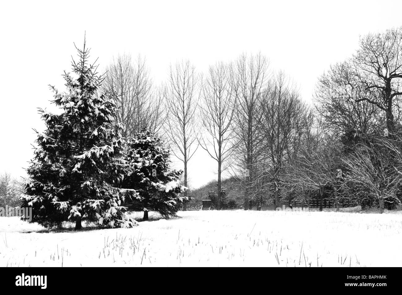 Black & White Winter Snow Scene Stock Photo - Alamy