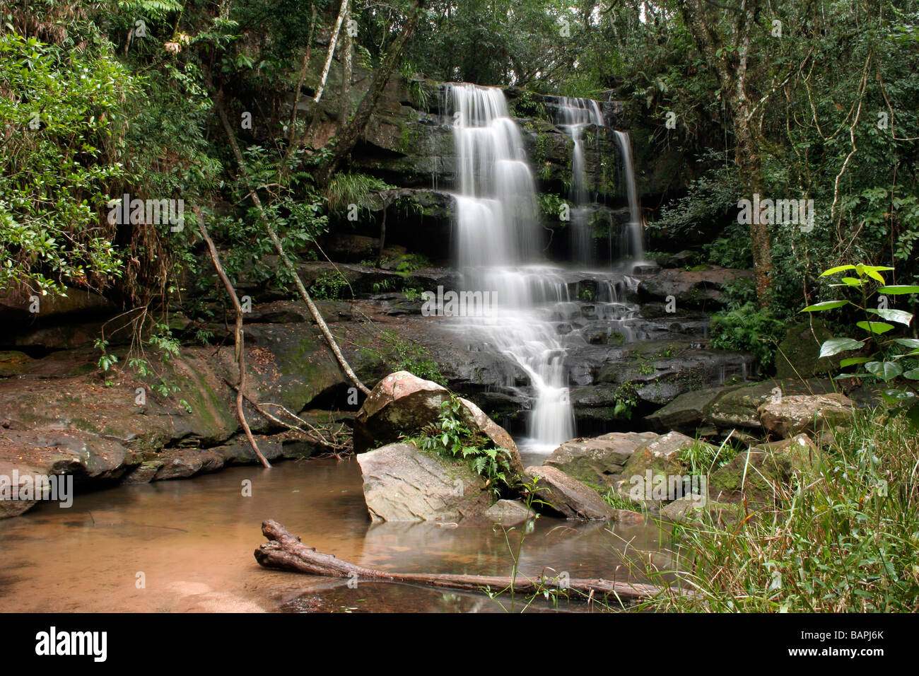 Salto Guarani cascading waterfalls in a rainforest, surrounded by