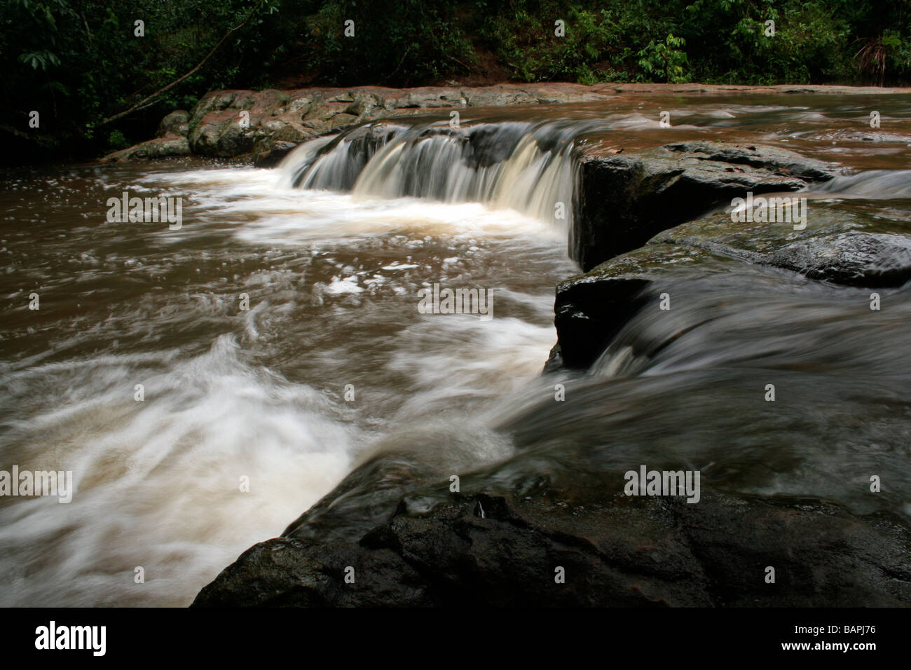Arroyo (Creek) Mina cascading waterfalls in a rainforest, surrounded by