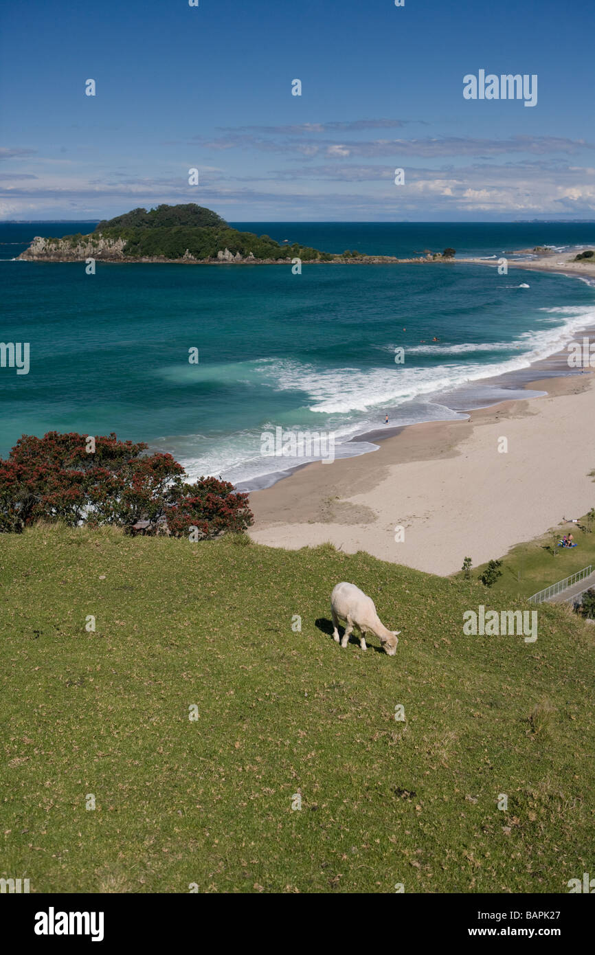 North island new zealand bay of plenty hi-res stock photography and ...