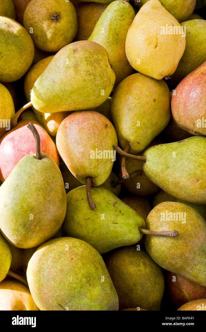 Pears stalk close up hi-res stock photography and images - Alamy