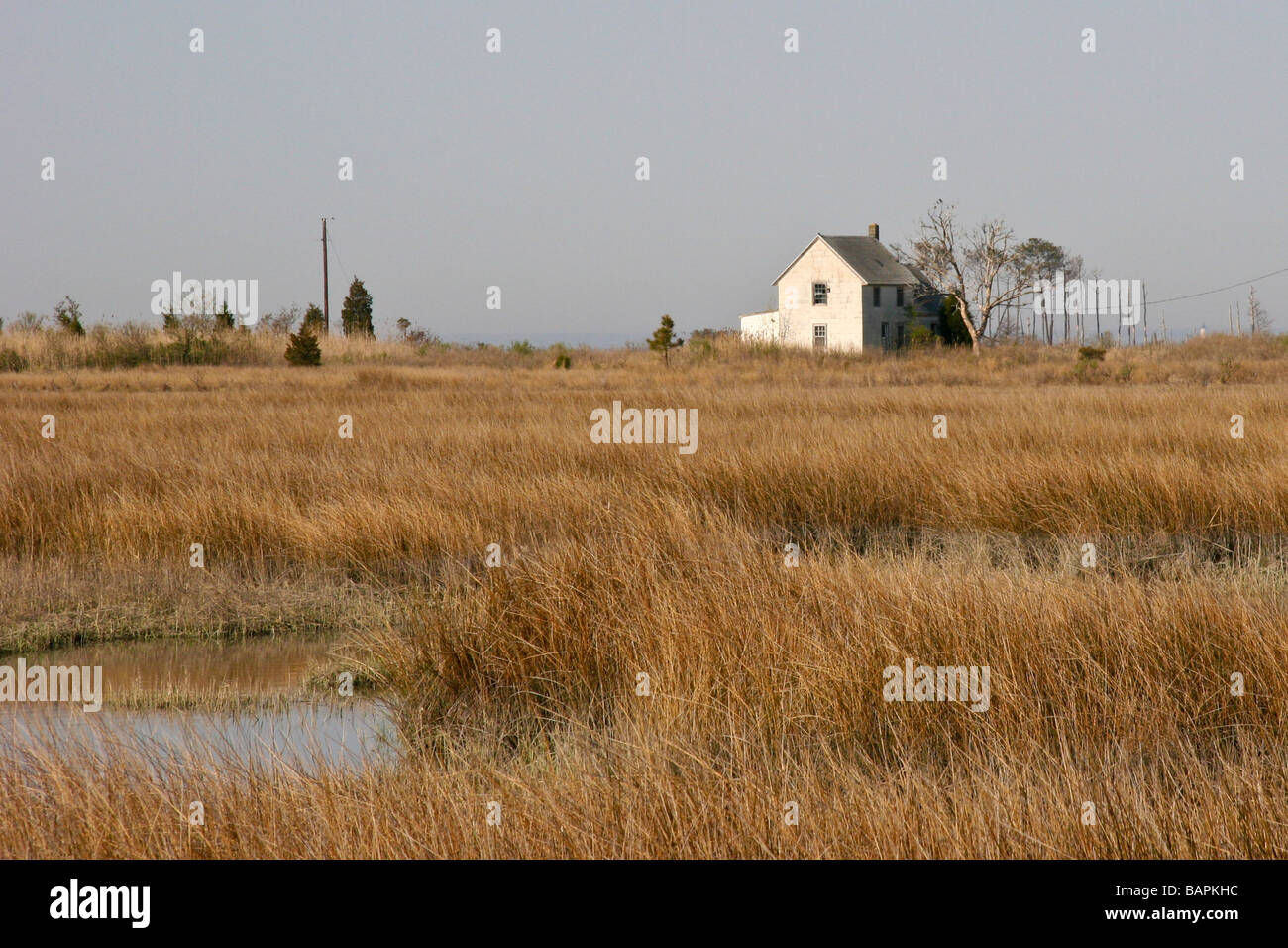 House in the Marsh Stock Photo Alamy