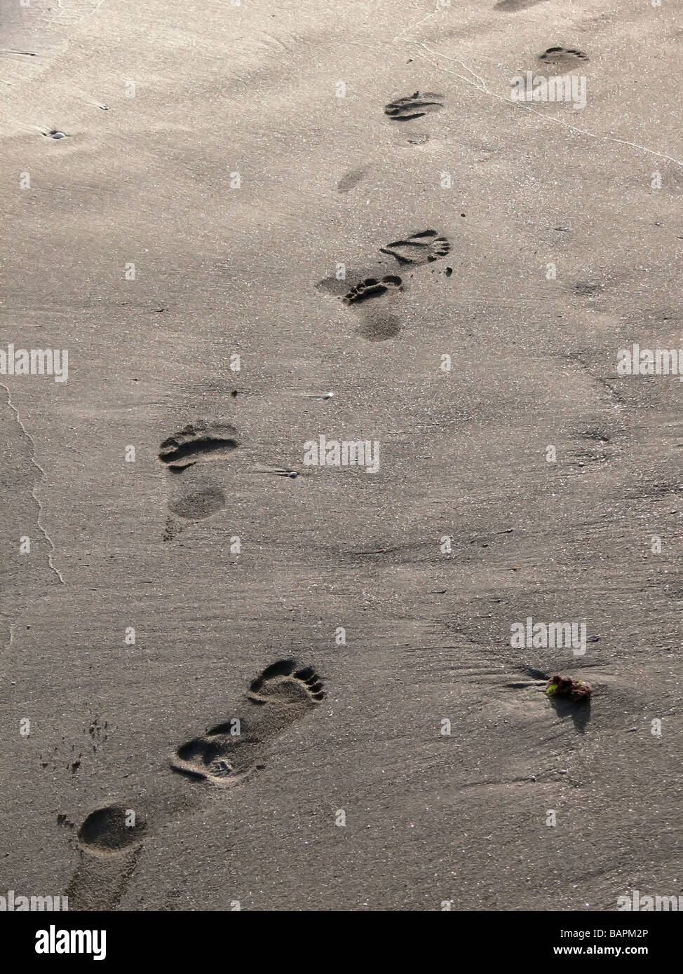 Footprints on the beach Stock Photo - Alamy