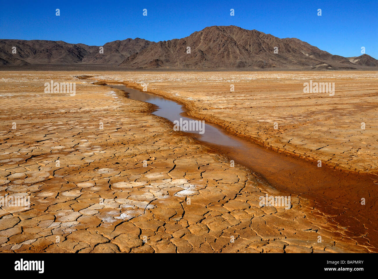 sheet of water in desert Stock Photo Alamy