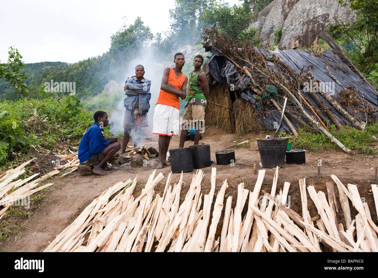 African logging hi-res stock photography and images - Alamy