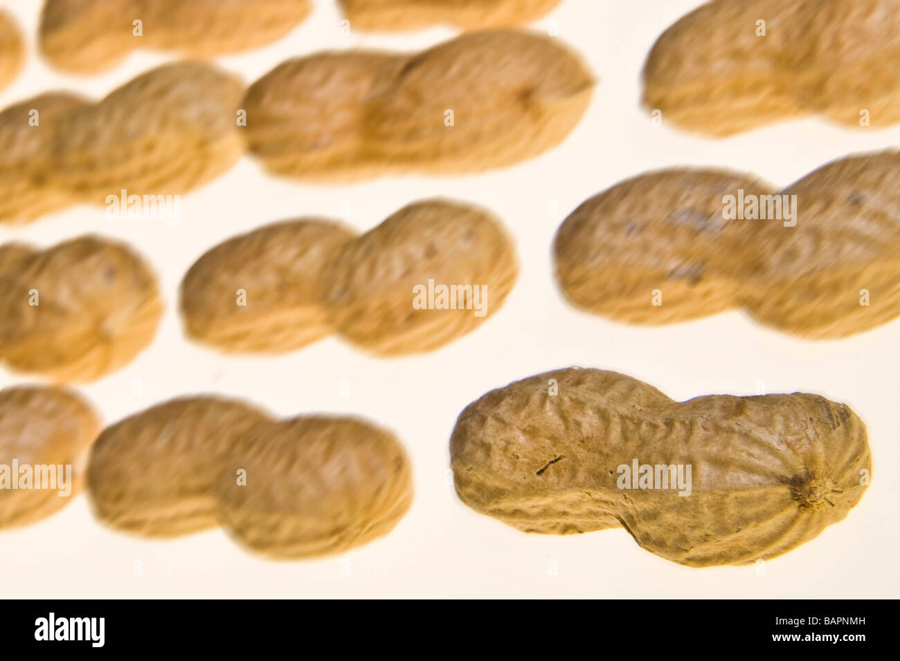 fruit dry fruits peanuts peanut Stock Photo Alamy