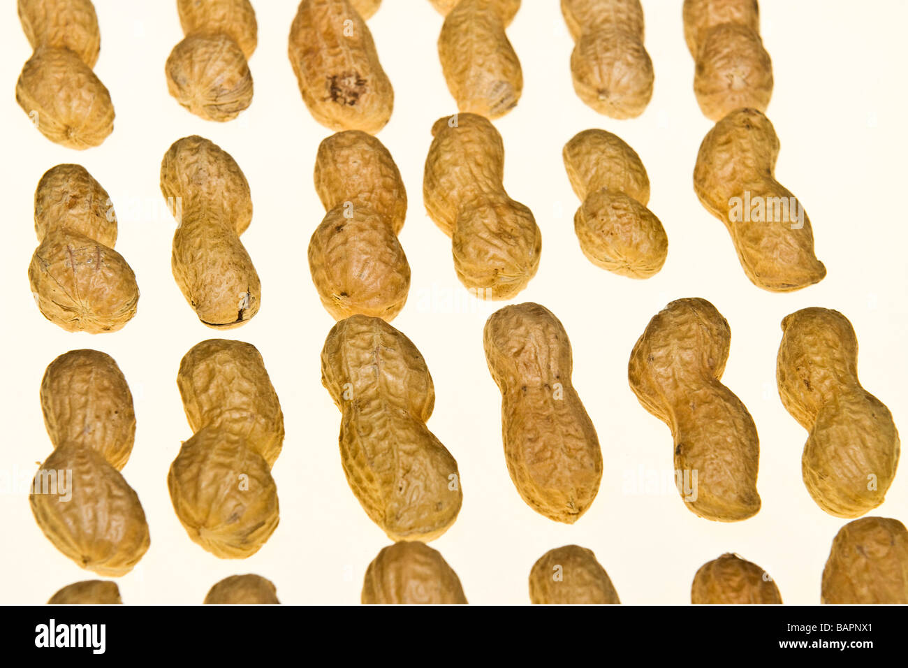 fruit dry fruits peanuts peanut Stock Photo Alamy