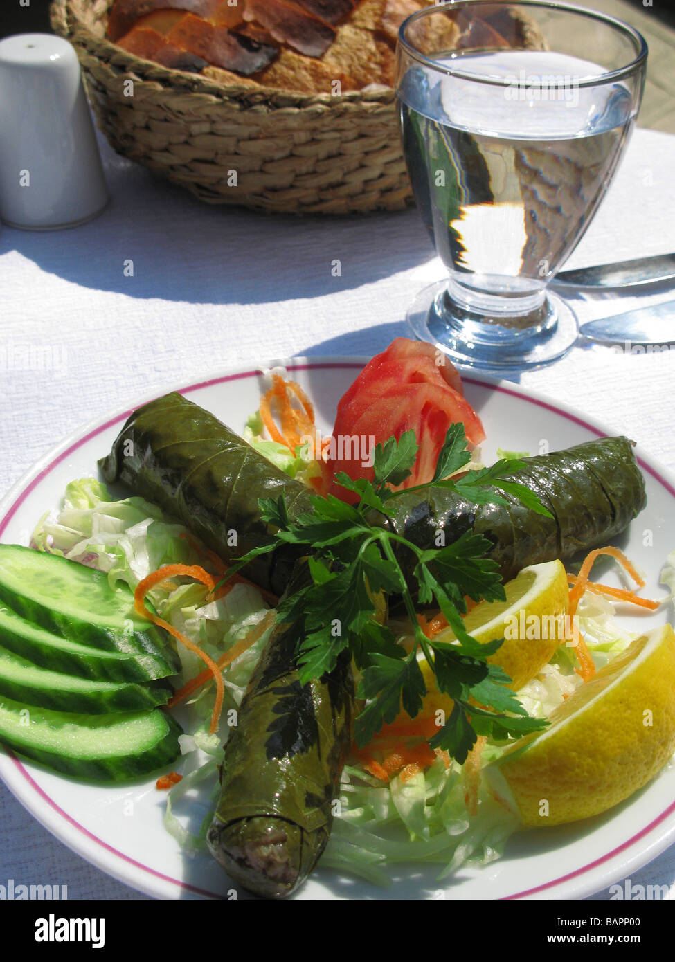 Turkish Cuisine Delicious stuffed Vine Leaves at Daruzziyafe Restaurant