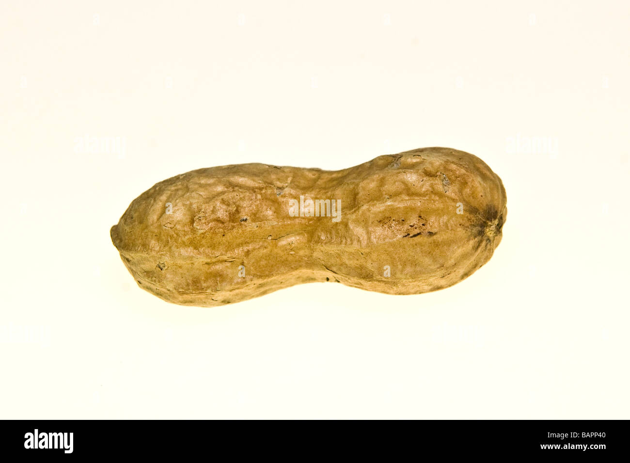 fruit dry fruits peanuts peanut Stock Photo Alamy