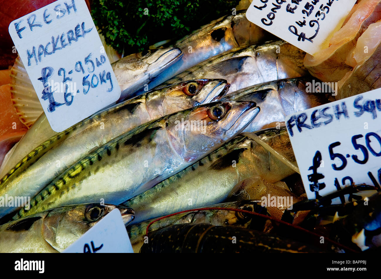 Selection of fresh sea fish on a fishmongers counter. Hastings, England, UK Stock Photo