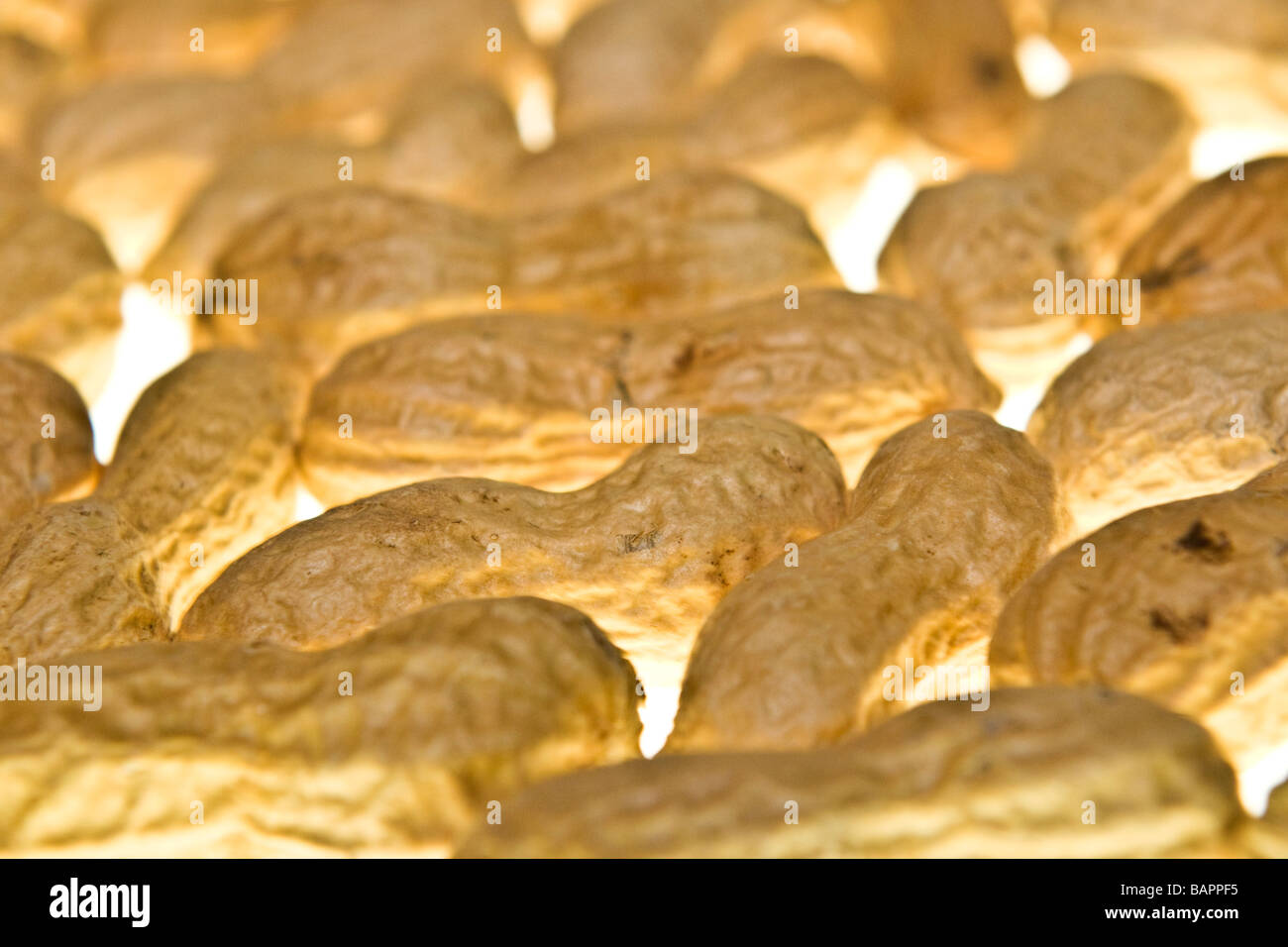fruit dry fruits peanuts peanut Stock Photo Alamy