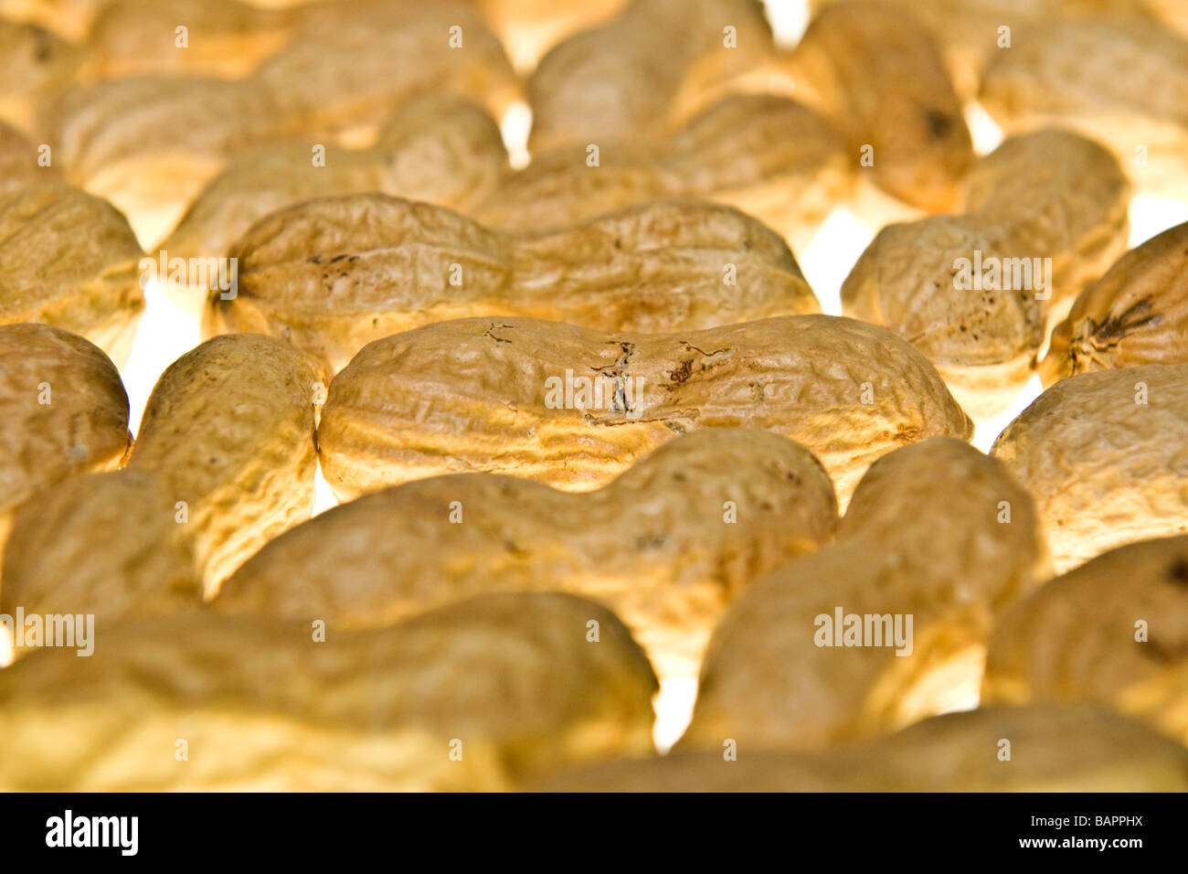 fruit dry fruits peanuts peanut Stock Photo Alamy