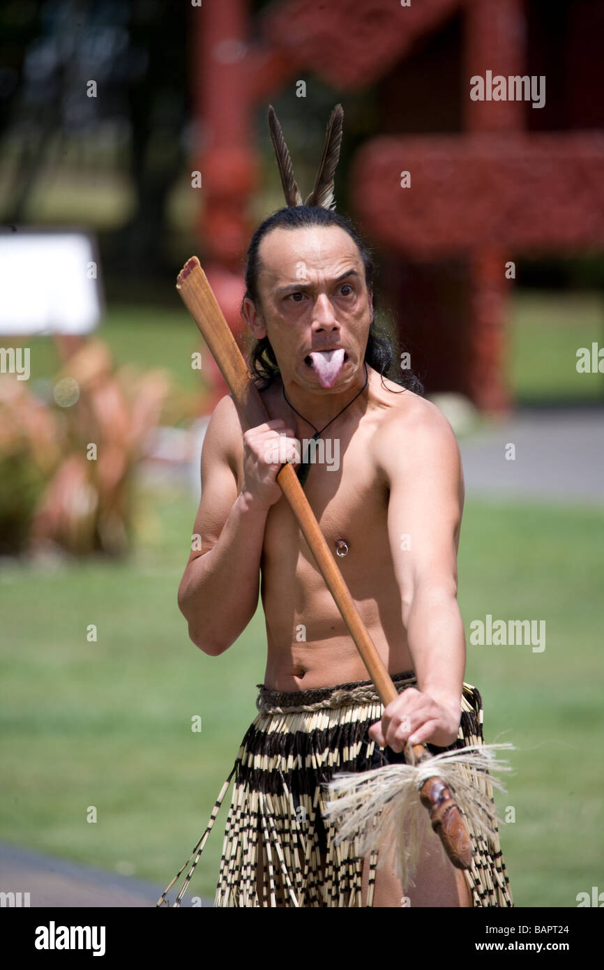 Maori Haka New Zealand Stock Photo