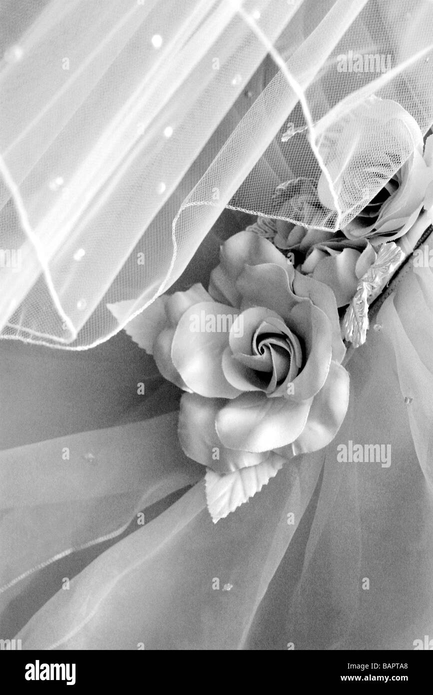 Close up detail of wedding dress and veil Stock Photo - Alamy